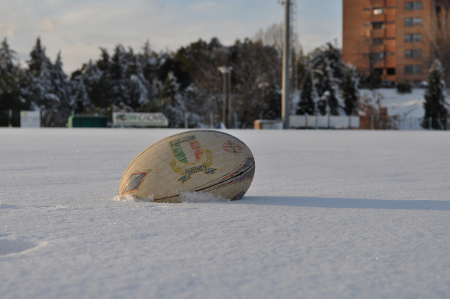 neve-rugby